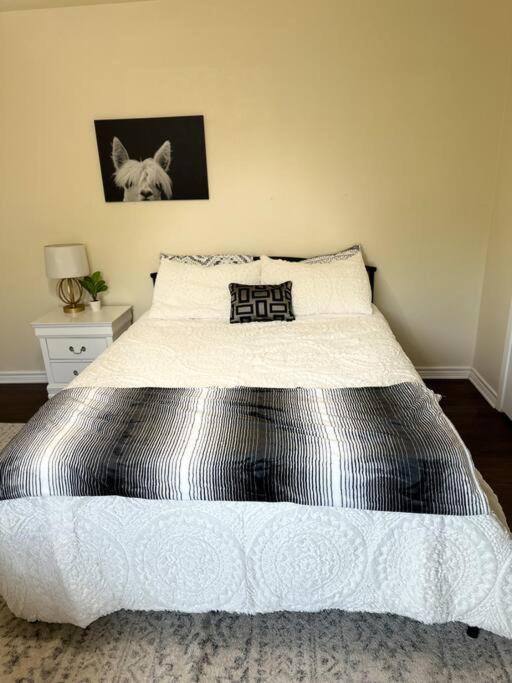 Апартаменты Walk To The Alamodome! Sleeps 6, Pet Friendly Сан-Антонио Экстерьер фото